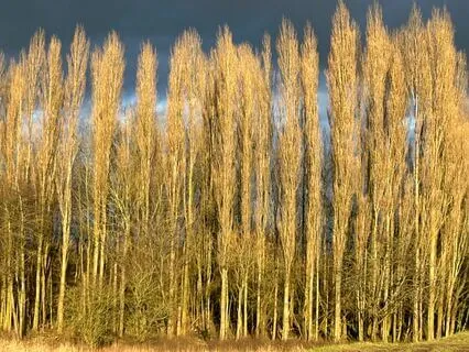 Find The Good To Help With The Bad