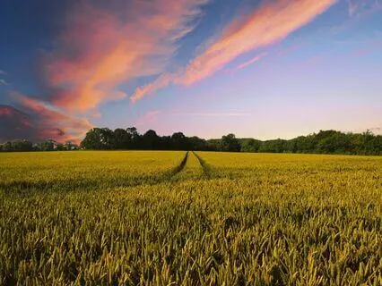 Find The Inner State Of Mind - Meditation Music