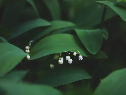 Find The Quiet Inside