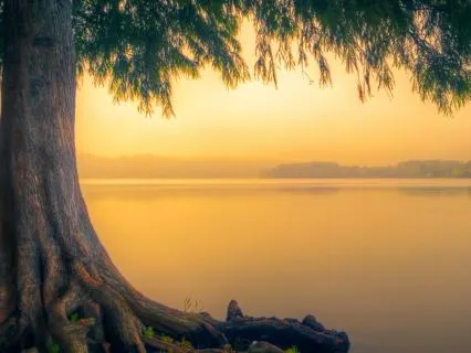 Find The Stillness Beyond The Mind