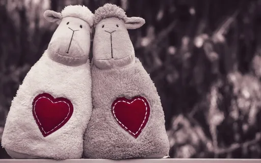 Find True Love, Attract Your Soulmate Now! 