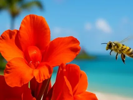 Find Your $1M Opportunity