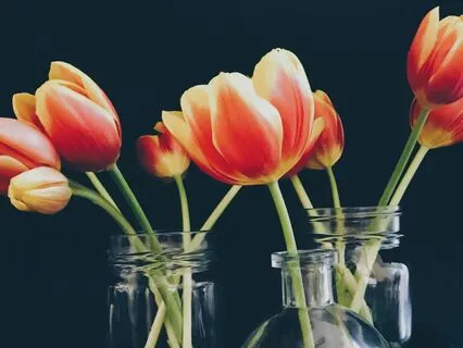 Find Your Affirmation