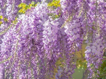 Find Your Anchor: A Bedtime Talk for Grounding