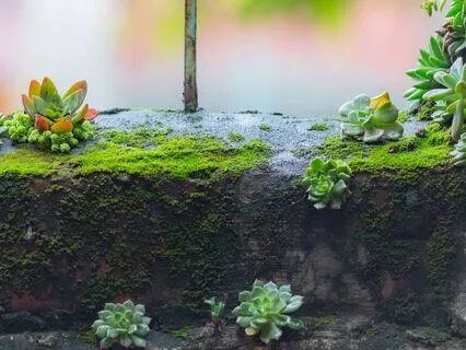 Find Your Balance: Deep Chakra Alignment