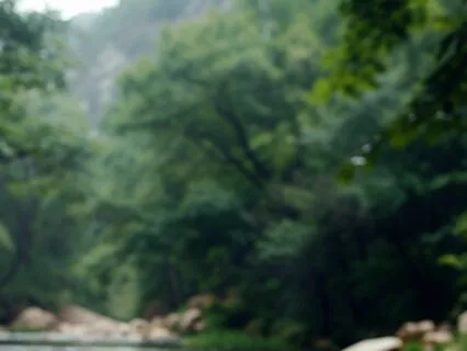 Find Your Calm: A 13-Minute Mindfulness Journey