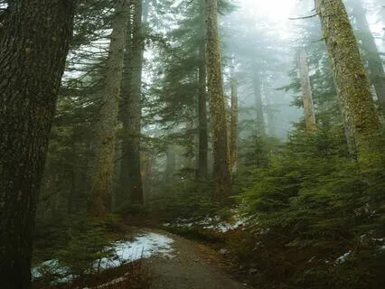 Find Your Calm In 5 Minutes