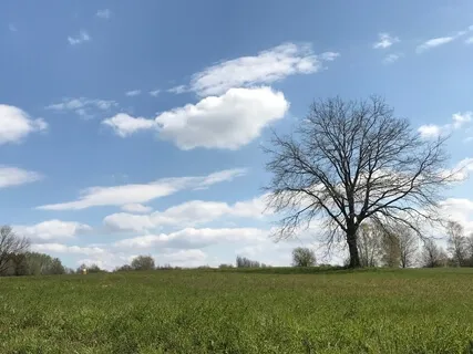 Find Your Center & Meet Your Higher Self