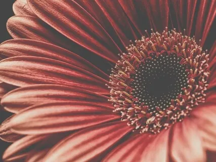 Find Your Center - Morning Mindfulness