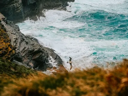 Train Your Mind Daily