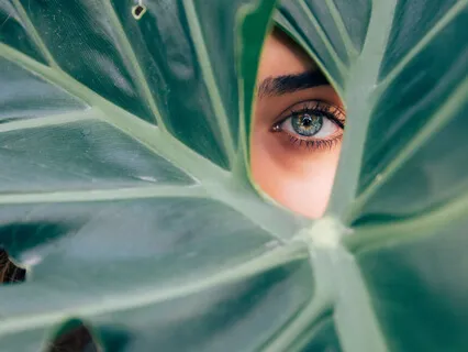 Find Your Focus: For The Easily Distracted