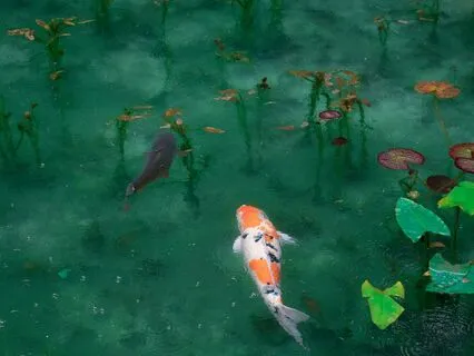 Find Your Footings When Overwhelmed With Thoughts