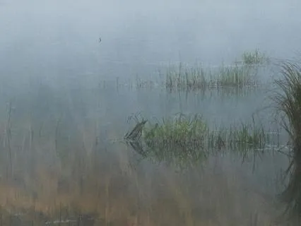 Gentle Strength For When You’re Struggling