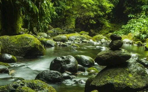 Find Your Inner Peace with 258Hz Meditation