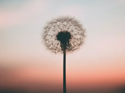 Find Your Inner Peace