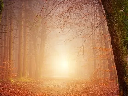 Find Your Inner Strength