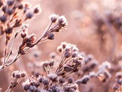 Find Your Light Meditation Top Up