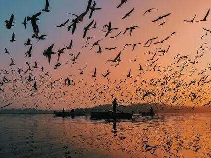 Find Your Niche - A Radically Different Approach