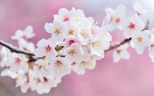 Find Your Path: Meditation To Connect With Your Higher Self