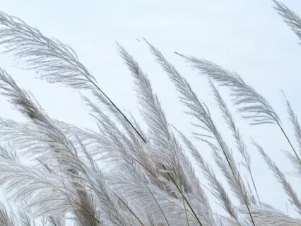 Find Your Purpose Through The Wisdom Of Your Body