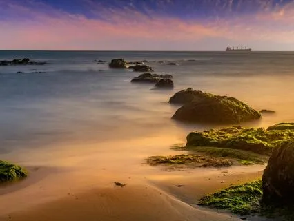 Find Your Purpose Visualization