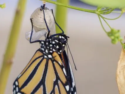 Soulful Journeys - Find Your Safe Haven