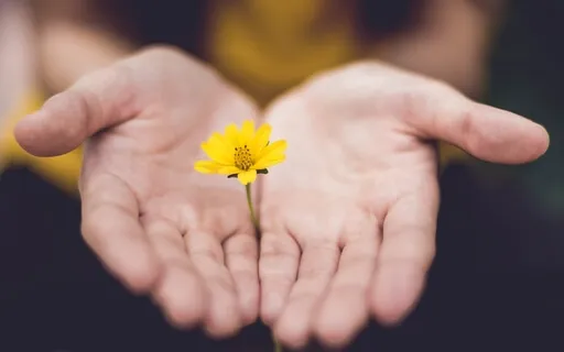 Find Your Soul Gifts | Heal Shame | Lecture And Meditation 