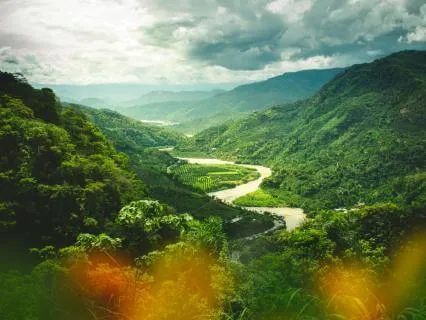 Connect With Your Calling & Joy