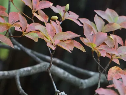 Find Yourself In Nature 1: The Body