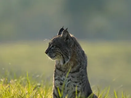 Find Yourself In Nature 2: Touch