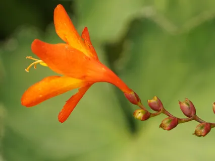 Find Yourself In Nature 4: Sight