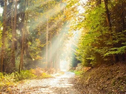 Finding A Career That Aligns With Your Life's Purpose