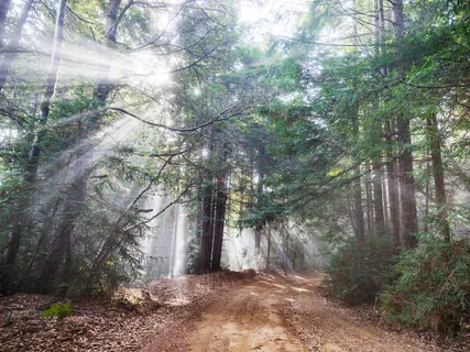 Finding A Grounded Place + Focusing 