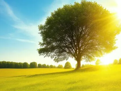 Finding A Moment Of Calm In Your Day