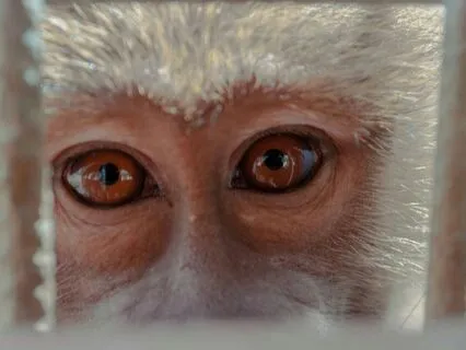 Finding A Moral Compass In A Deluded World