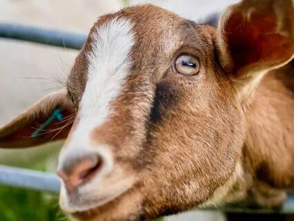 Finding Acceptance Towards Life