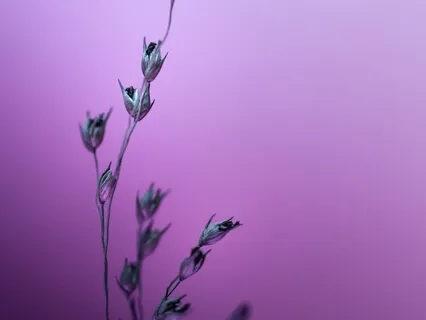 Finding & Appreciating Your Own Worthiness (With Music)