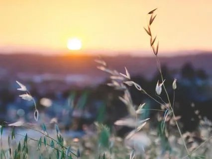 Finding Awe In Ordinary Life