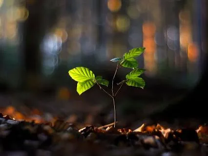 Finding Awe & Wonder In Everyday Life