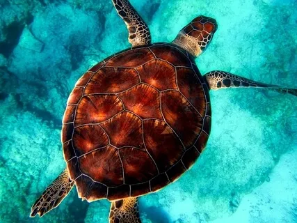 Finding Balance - A Guided Practice