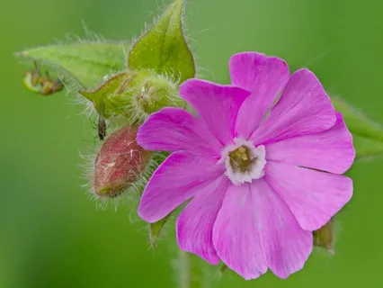 Day 20 - Finding Balance At The Energy Crossing - April 02
