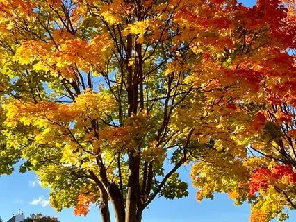 Finding Balance Between Wanting And Letting Go