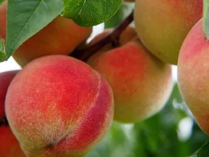 Finding Balance In A World Of Bluster