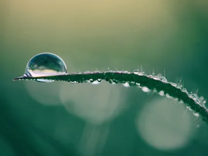 Finding A State Of Balance