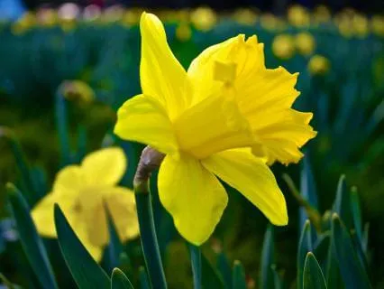 Finding Balance Within Unsettled Moments - March 09