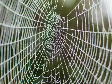 Finding Beauty In Everyday Events