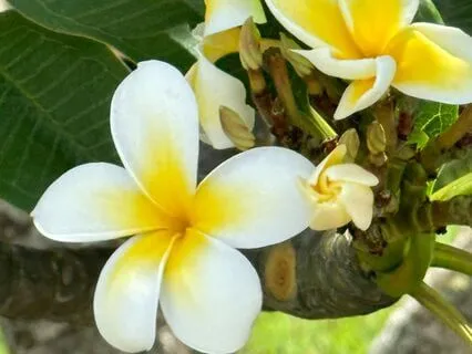 Finding Blessings In Life