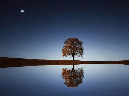 Finding Bliss Through The Senses