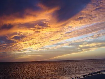 Finding Calm Amid The Chaos