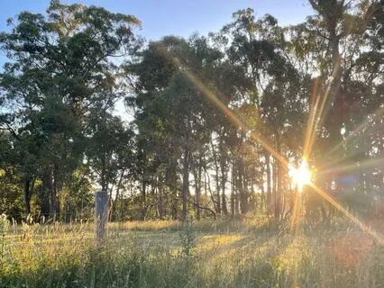 Finding Calm In A Busy Mind